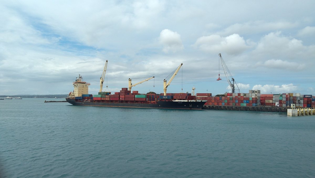 Container vessels and port cranes loading at an East African port